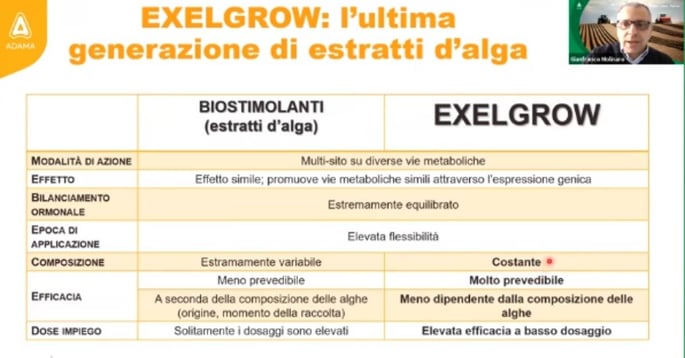 Estratti dalga