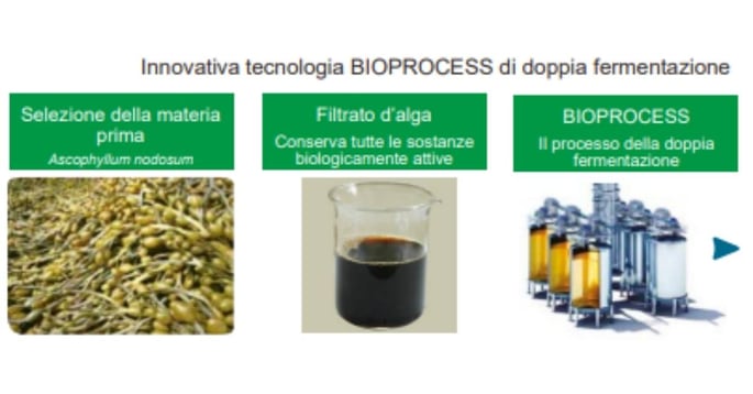 Innovativa tecnologica bio process