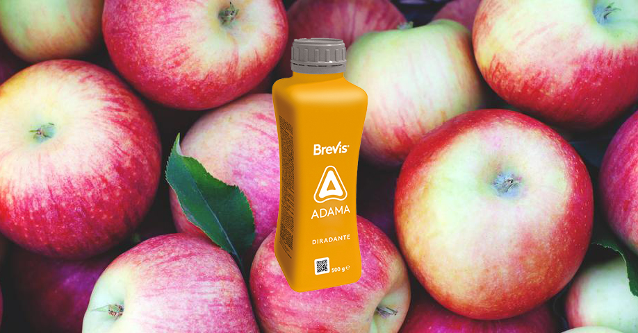 BREVIS melo: alimenti sicuri e raccolti più abbondanti_Adama