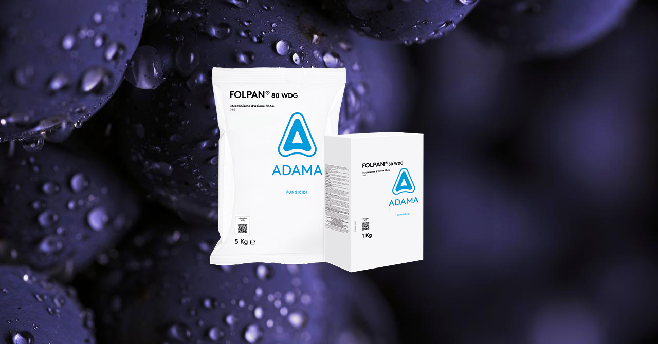 FOLPAN 80 WDG, il fungicida ADAMA contro la peronospora della vite