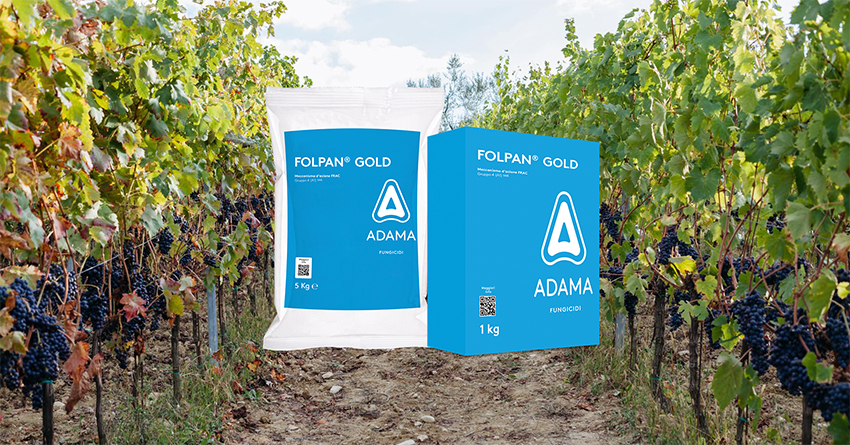 Linea Folpet di ADAMA per la vite: scopriamo FOLPAN GOLD